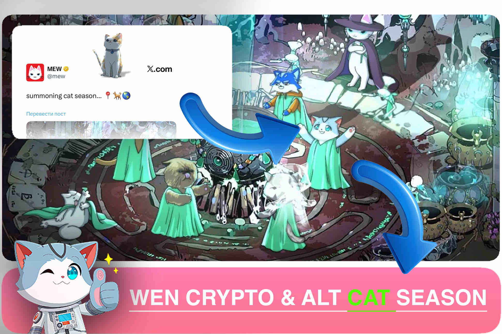 Cat season: MEW and Wen in a world of dog coins