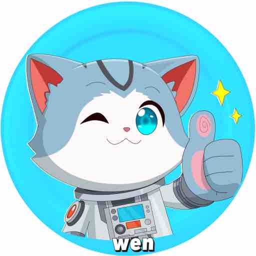 Wen crypto Solana cat with a thumbs up