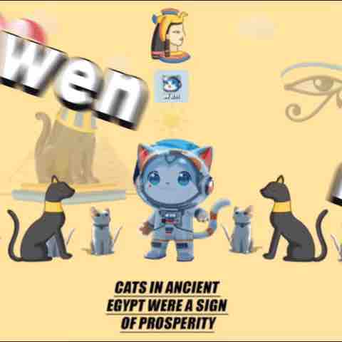 Wen cat on Solana