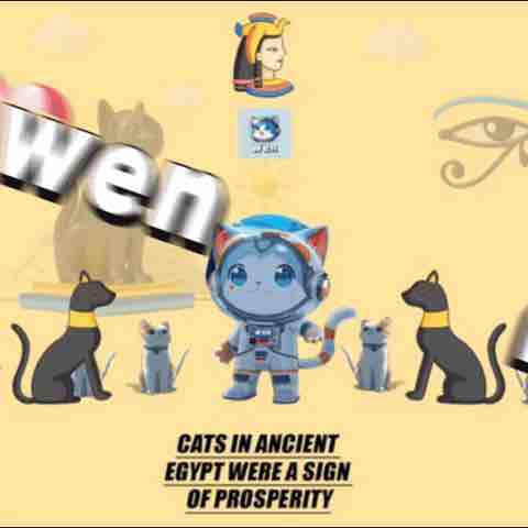 Playful Wen kitty