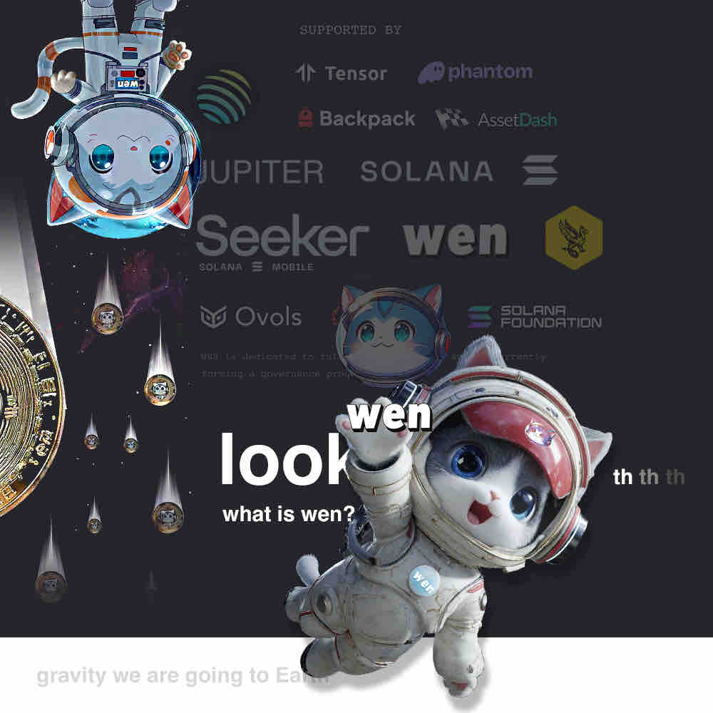 Epic Wen kitty
